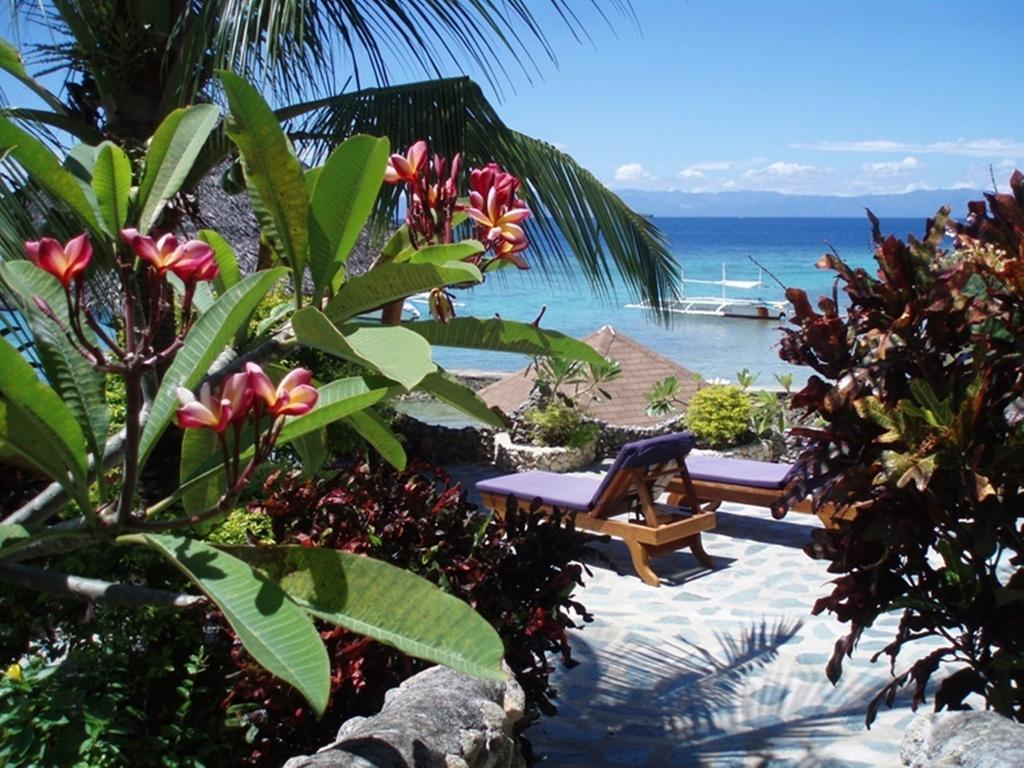 Magic Island Dive Resort Moalboal Eksteriør billede