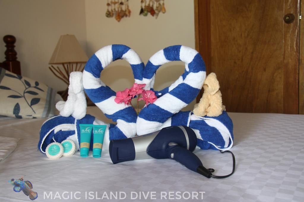 Magic Island Dive Resort Moalboal Værelse billede